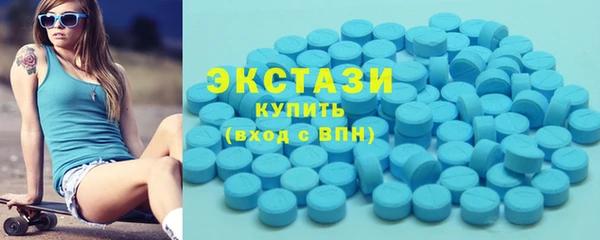 ECSTASY Гусь-Хрустальный