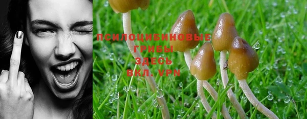 шишки Семёнов