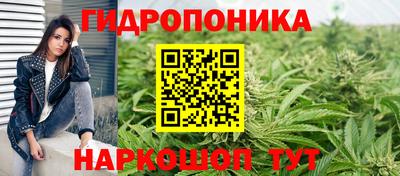 прущие грибы Донецк