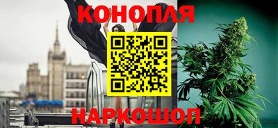 прущие грибы Донецк