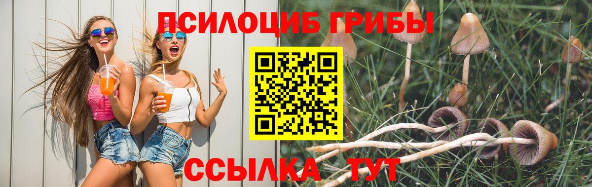 Галлюциногенные грибы Magic Shrooms Киреевск
