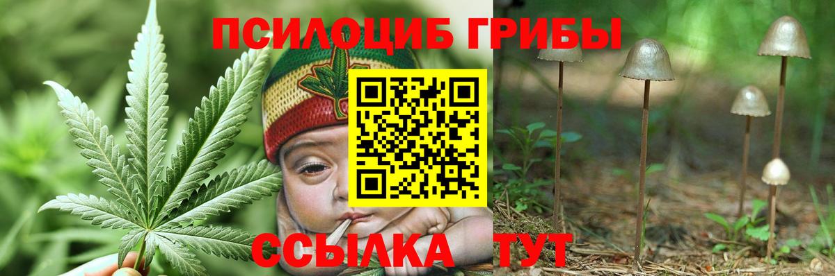 Киреевск  Галлюциногенные грибы Cubensis  Вход с VPN 